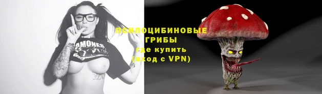 трава Медвежьегорск