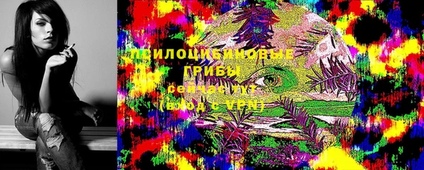 герыч Медногорск