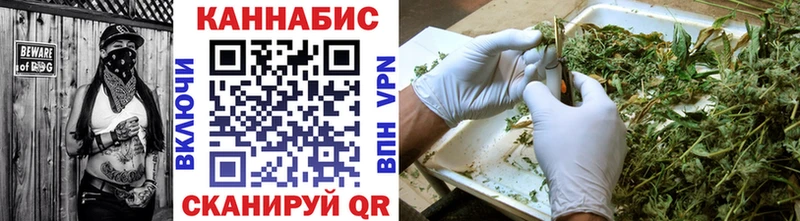 купить наркоту  Куртамыш  Каннабис гибрид 
