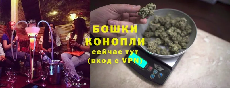 купить   Куртамыш  Марихуана OG Kush 